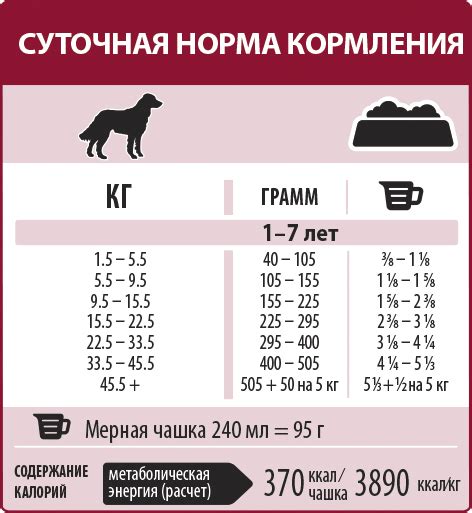 Правила приема кефира для собак
