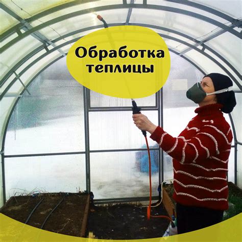 Правила проведения мойки теплицы белизной