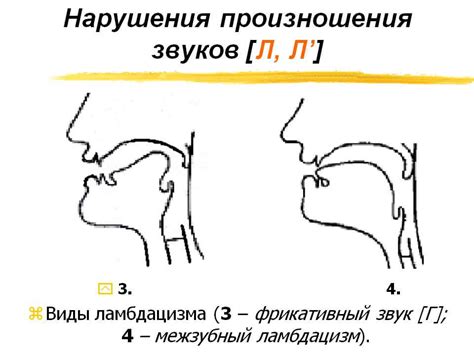 Правила произношения мягких звуков