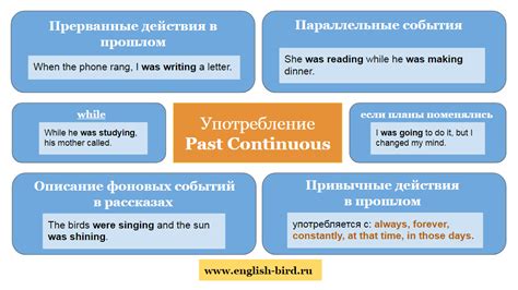 Правила употребления