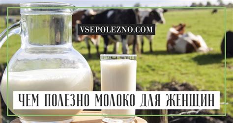 Правила употребления топленого молока