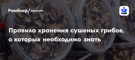 Правила хранения грибов