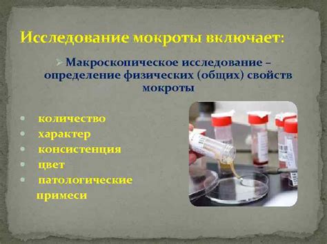 Правила хранения мокроты до анализа
