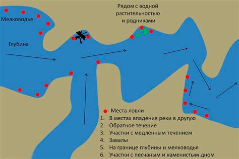 Правильная подготовка и выбор места рыбалки