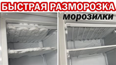 Правильная разморозка