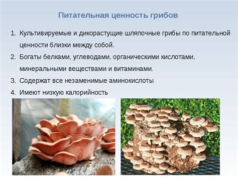 Правильное использование замороженных грибов в кулинарии