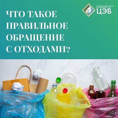 Правильное обращение с яблоками