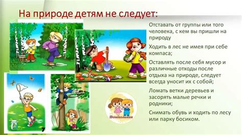 Правильное поведение на природе