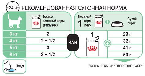Правильное приготовление еды для котенка
