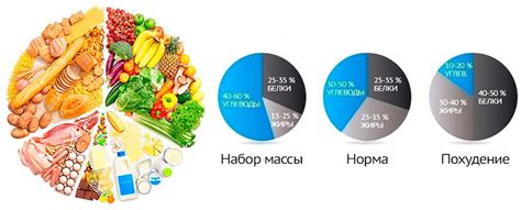 Правильное соотношение мяса и овощей в рационе щенка