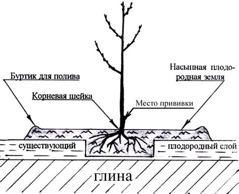 Правильные условия для посадки