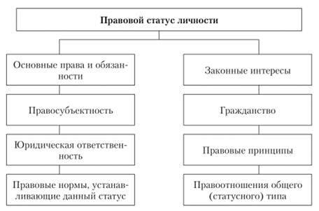 Правовой статус разворотных петель