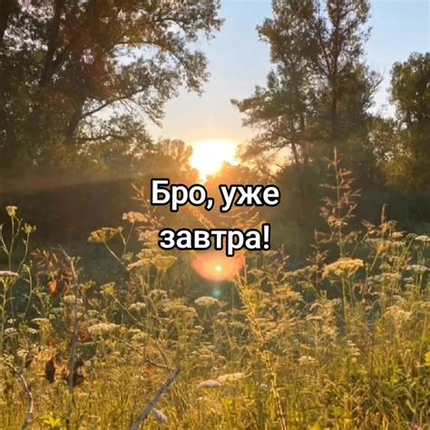 Празднование с друзьями и поклонниками