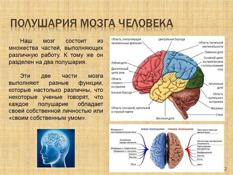 Практическое применение исследований о взаимодействии мозга и ног