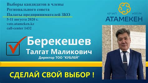 Предвыборная кампания