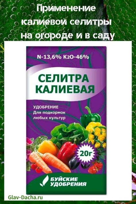 Предостережения и ограничения при использовании калиевой селитры