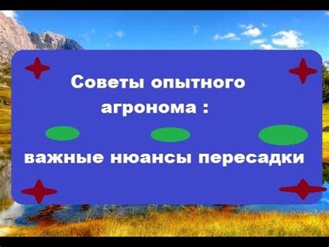 Предосторожности и нюансы пересадки