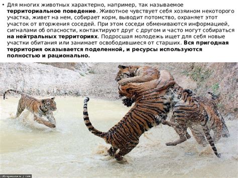 Предотвращение вторжения животных на участок