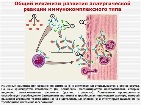 Предотвращение развития аллергических реакций