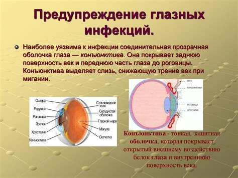 Предупреждение глазных инфекций