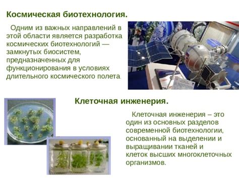 Преимущества выращивания горбуши с использованием искусственных методов