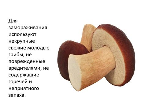 Преимущества замораживания грибов