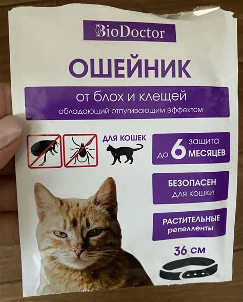 Преимущества использования уксуса против блох