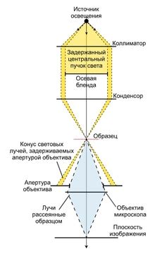 Преимущества и области применения научной темнопольной микроскопии