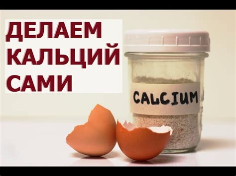 Преимущества и опасности яичной скорлупы для кроликов