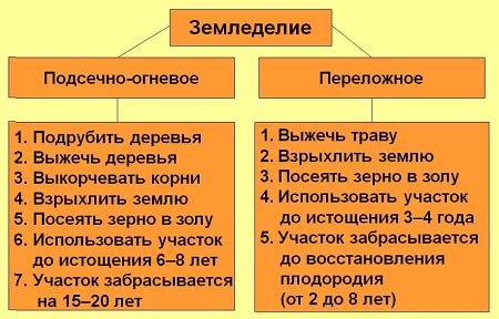 Преимущества и особенности перехода от двуполья к трехполью
