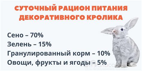 Преимущества и риски включения в рацион мяса кролика для грудничка