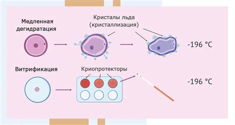 Преимущества колоть Клексан после переноса эмбрионов вечером