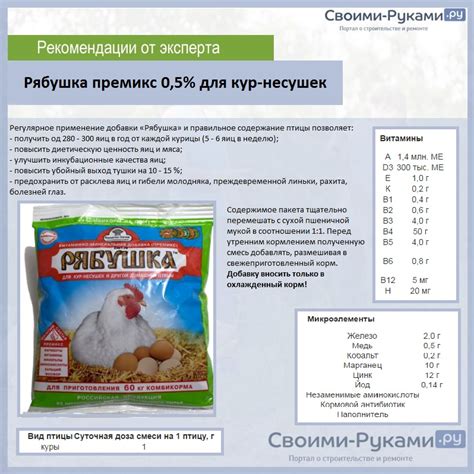 Преимущества кормления кур кроличьим комбикормом