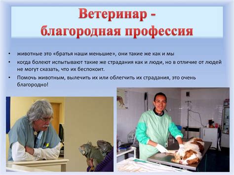 Преимущества обучения на ветеринара заочно