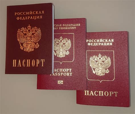 Преимущества получения российского гражданства для беженцев