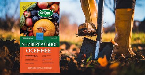 Преимущества посадки осенью