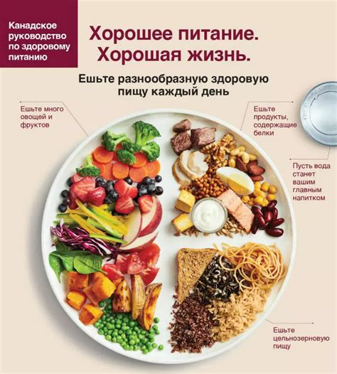 Преимущества растительной пищи для похудения
