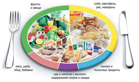 Преимущества рационального питания для детей