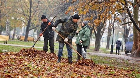 Преимущества уборки листьев весной