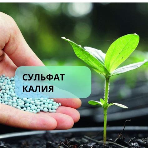 Преимущества удобрения