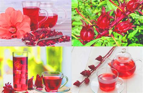 Преимущества употребления каркаде