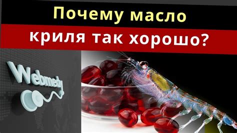 Преимущества употребления рыбьего жира