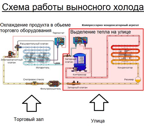 Преимущества хранения на холоде