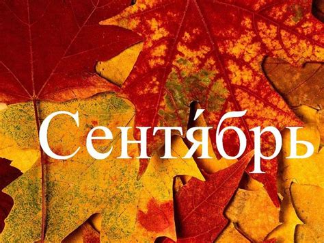 Прелести осеннего месяца - сентябрь