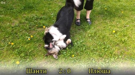 Преодоление страхов и ограничений