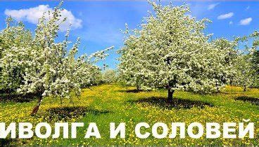 Приветствие пчел и птиц на цветущих яблонях
