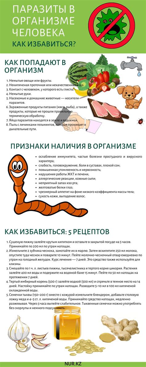 Прививки и лечение от паразитов