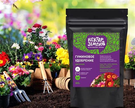 Приготовление грунта для посадки пастернака