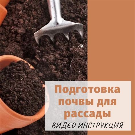 Приготовление почвы для саженца