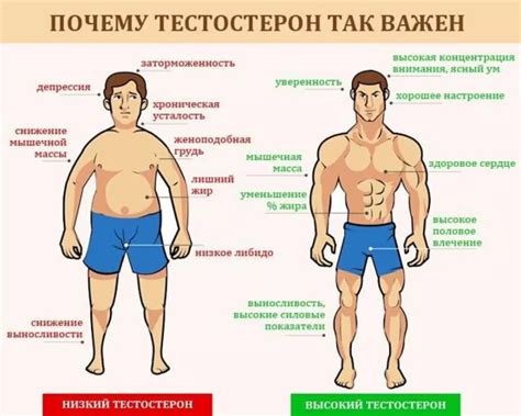 Признаки, по которым можно определить момент тестостерона